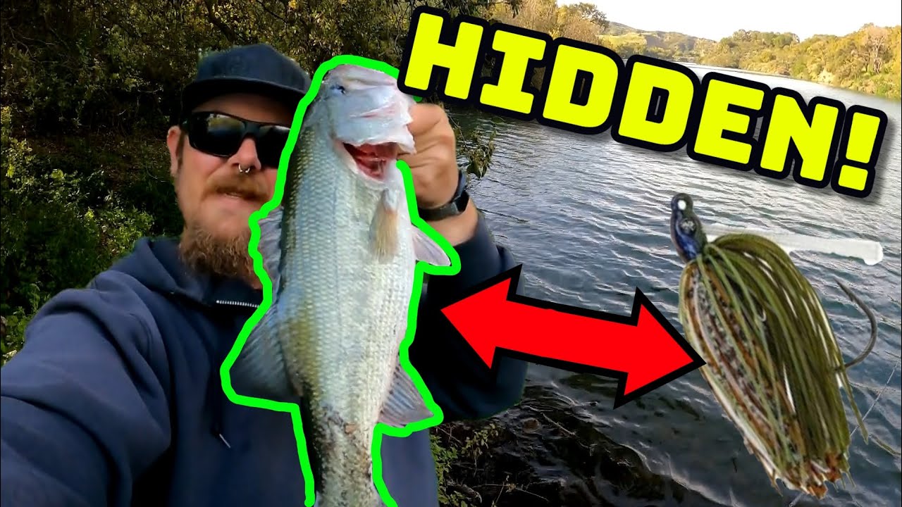 HIDDEN Bass Spot in BEAUTIFUL Reservoir (Stevens Creek Reservoir
