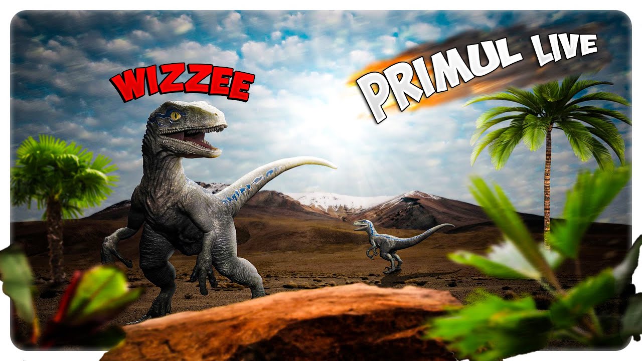 PRIMUL LIVE A LU` WIZZEE | Momente amuzante 2020