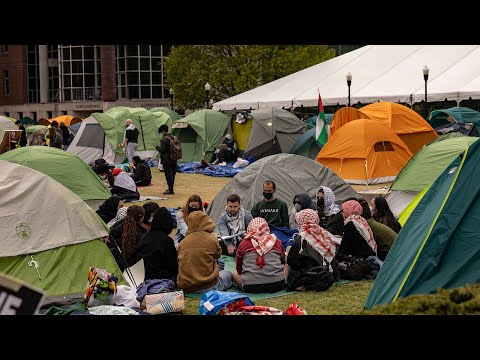 Pro-Palestinian campus protests: Trend spreads on both sides of the border