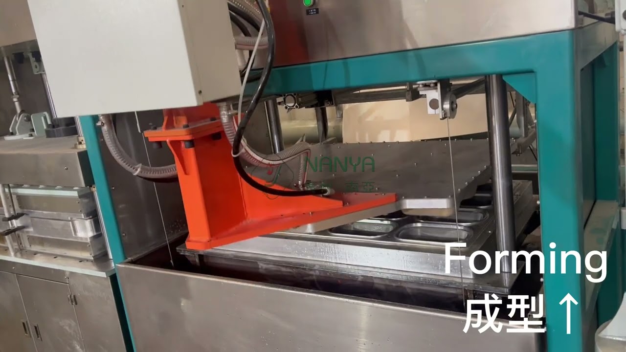 Automatic Pulp Molded Tableware Making Machine - YDQ40 - Guangzhou Nanya