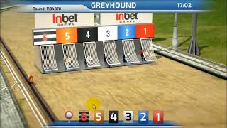 ONE WAY carrera de perros screenshot 4