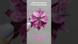 Origami Hexagonal Flower Ligia Montoya #origami #papercraft #foldingart