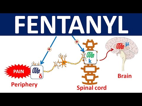 Fentanyl - Mechanism, precautions, side effects & uses