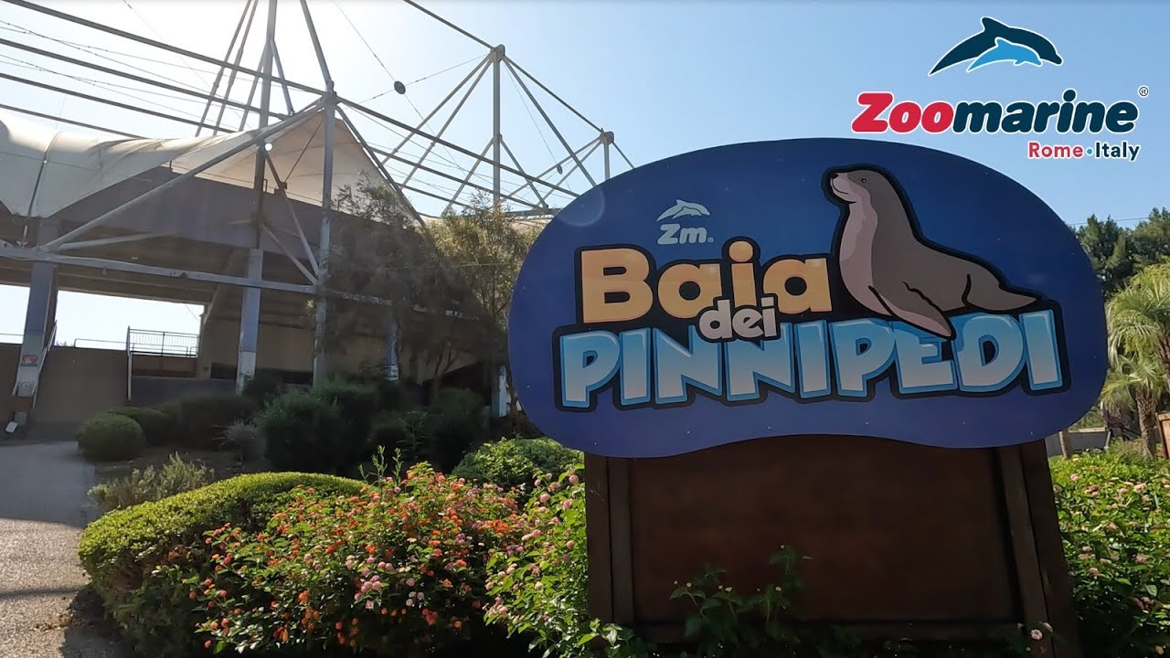 Baia dei Pinnipedi [ ZooMarine ]