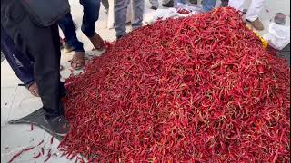 Bediya Mandi Red Chilli Prices || Bediya Mandi Red Chilli Rate | Today's Chilli Prices | 09/04/2022 screenshot 3