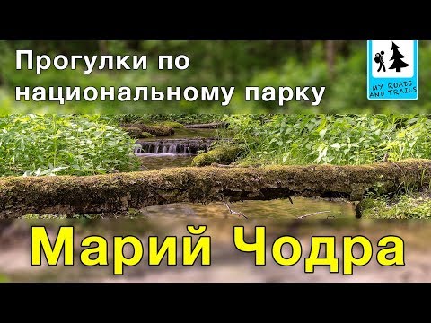 Видео: Когда вы посещаете национальный парк, DontFeedTheLandfills. Вот как