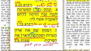 מנחות סב 62 חמישי ב׳ חשון לרפואת מיכל בת ברכה אורנה