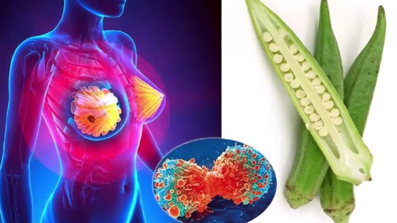 Okra Kills 72 Of Breast Cancer Cells And Slows Growth In Vitro YouTube