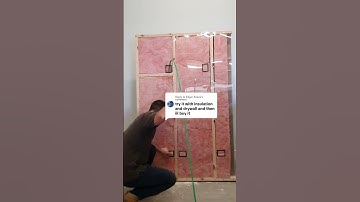 The Fish Stick That Flies Along Insulation⚡