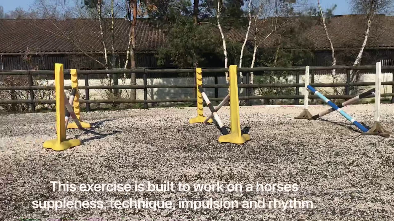 Bounces Exercise YouTube