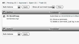 How to Moderate and Edit Comments in WordPress - Brief Explanation of WordPress Comment Features