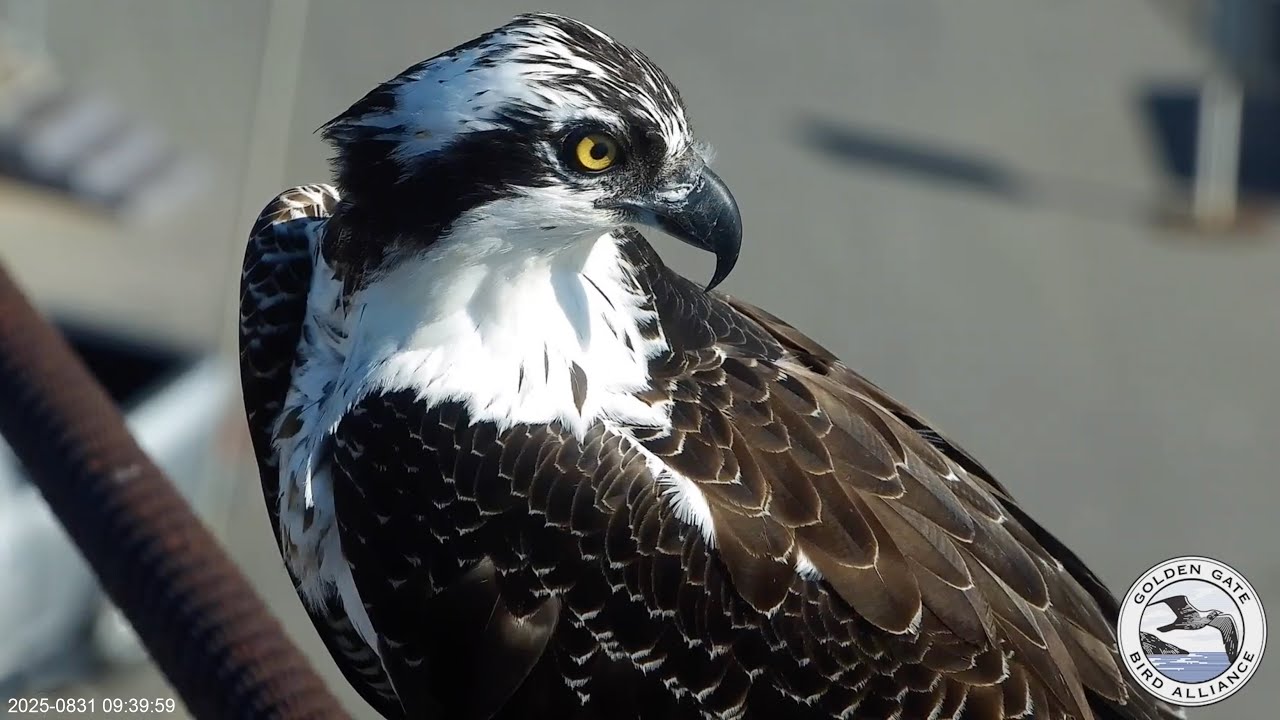 Spending the morning with Beacon | Aug 31, 2025