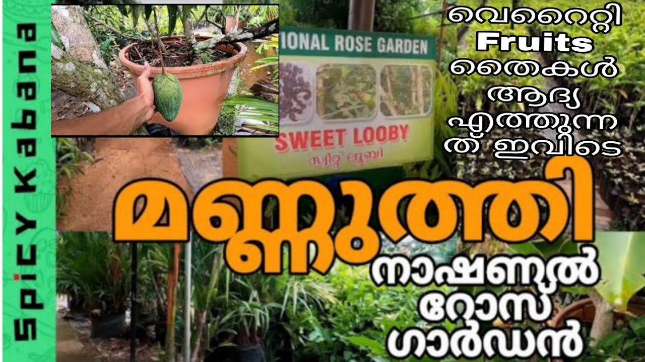 മണ്ണുത്തി |plant price with names| National Rose Garden|Thrissur Mannuthi nursery(mala)