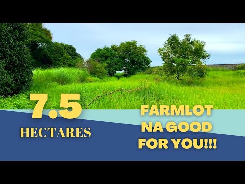 (vlog#29) 7.5 Farmlot na good for you with Aerial View