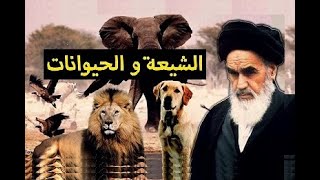 الحيوانات الموالية و الناصبية عند الشيعة ???? تعليق المنادي أبو علي الشيباني ?