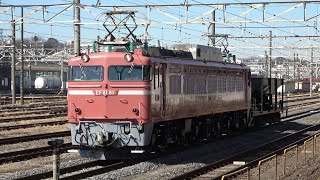 2024/02/14 【宇都宮配給 尾久入場】 EF81 81 + ホキ800形 尾久車両センター | Japan Railways: Ballst Hopper Wagon