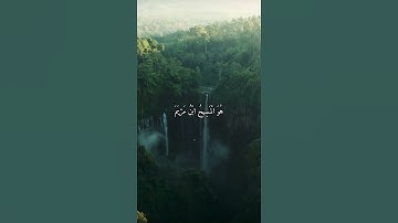 واتس اب قران كريم القارئ ياسر دوسري (سوره المائدة)