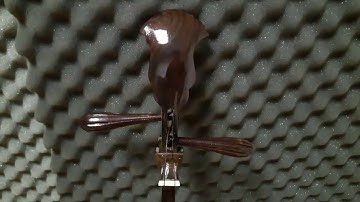 Đàn nguyệt hát văn || Nhạc Cụ Tuấn Dương - 01672139962