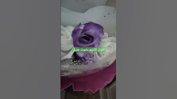 القرآن الكريم بصوت جميل #قرآن #اكسبلور #تيك_توك #اكسبلورر #لايك #اكسبلورفولو #راحة_نفسية