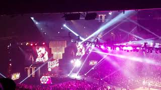 Bret Hart Unveils AEW World Heavyweight Championship, MJF Interrupts #aewdoubleornothing
