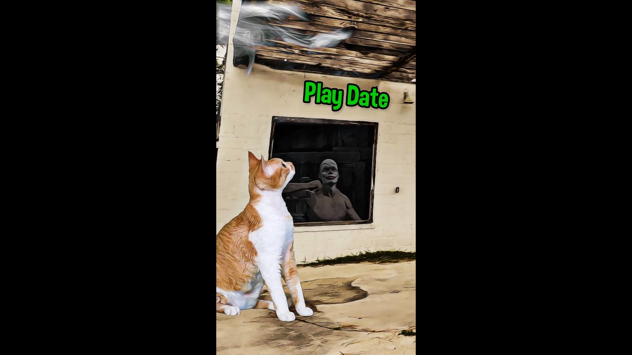 Cat's Playdate Goes Terribly Wrong 