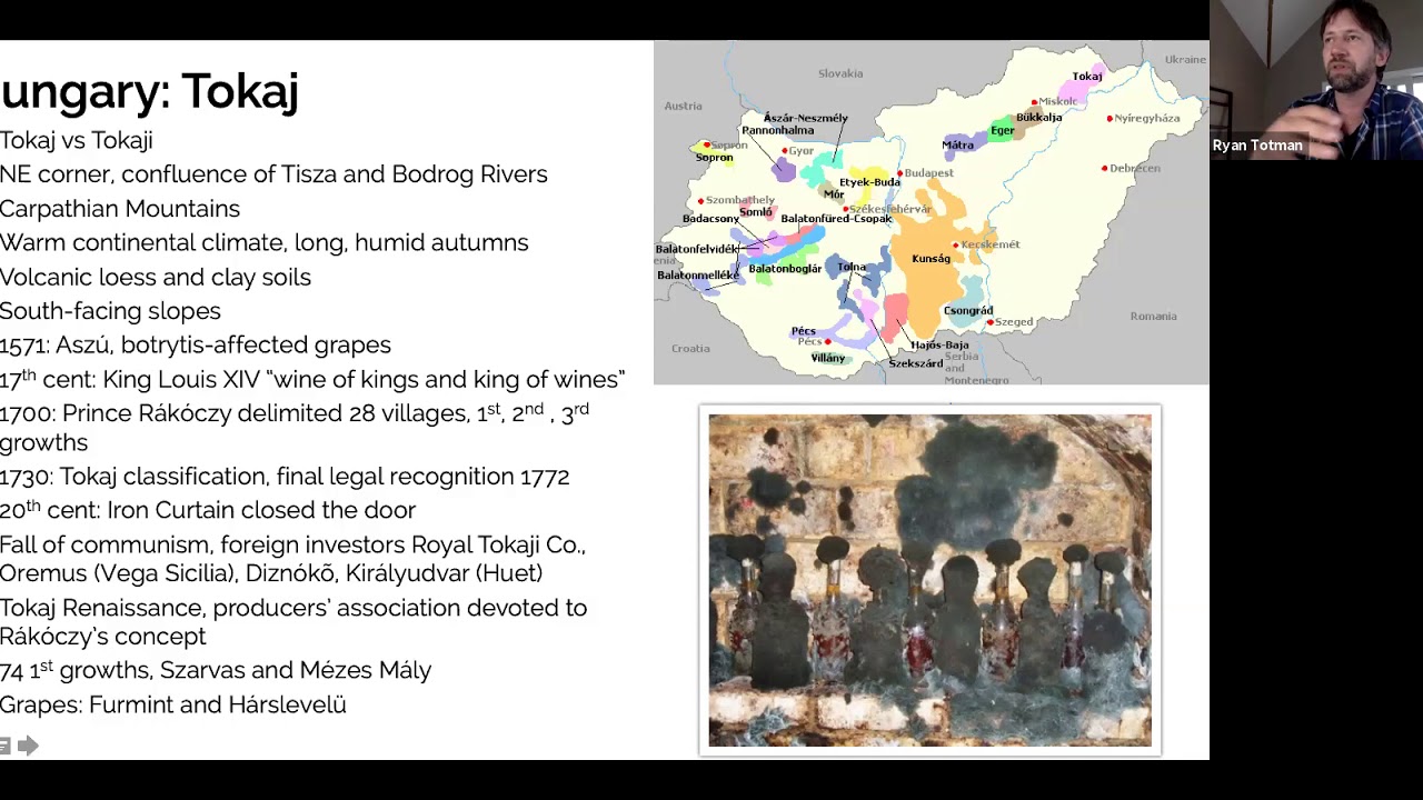 Eastern European Vacation