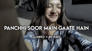 Panchhi Soor Main Gaate Hain 🕊️❤️ | Slowed   Reverb | Udit Narayan | Sirf Tum | 90s LoFi Romantic 