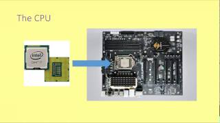 GCSE Computer Architecture 2 - The CPU