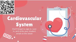 Understanding Cardiovascular System Circuits (ppt 1)