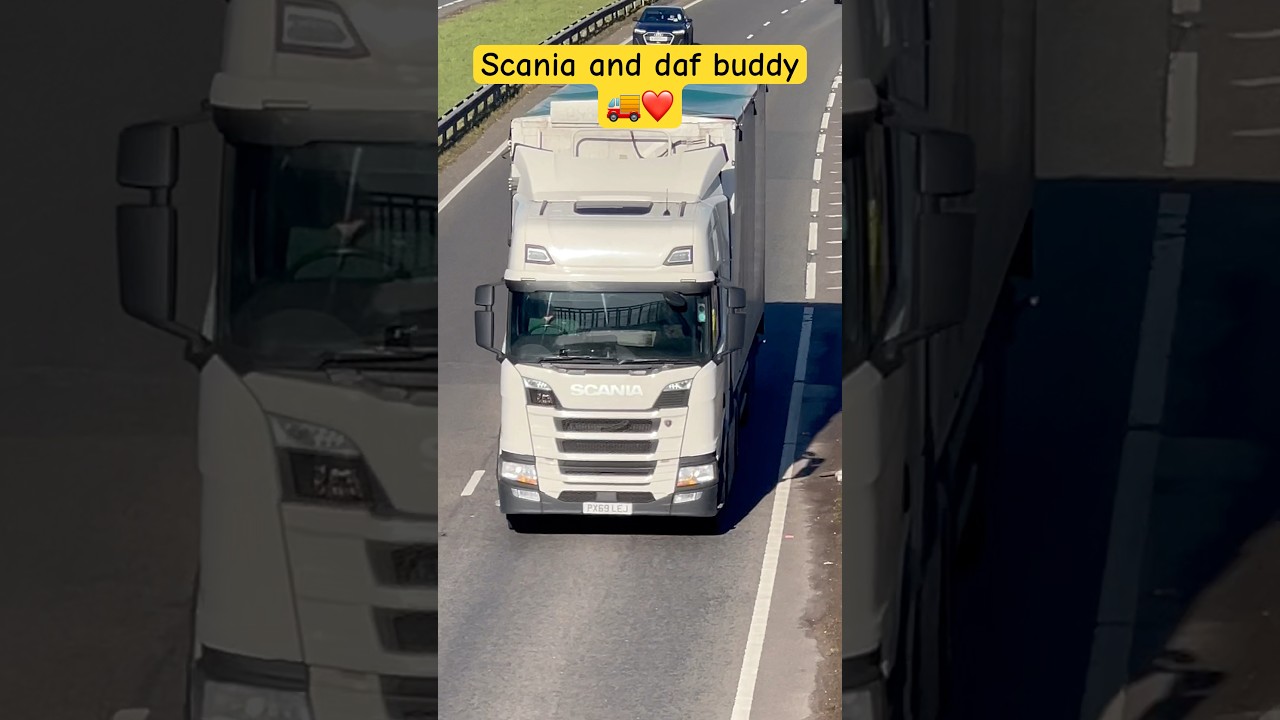 Beautiful Scania and DAF Truck | 🚛🔥 | 
