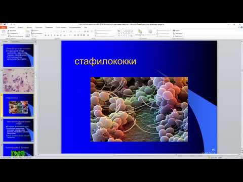 А. Н. Савинова. Нормальная микрофлора организма человека. Ее роль в норме и при патологии. Фарм.