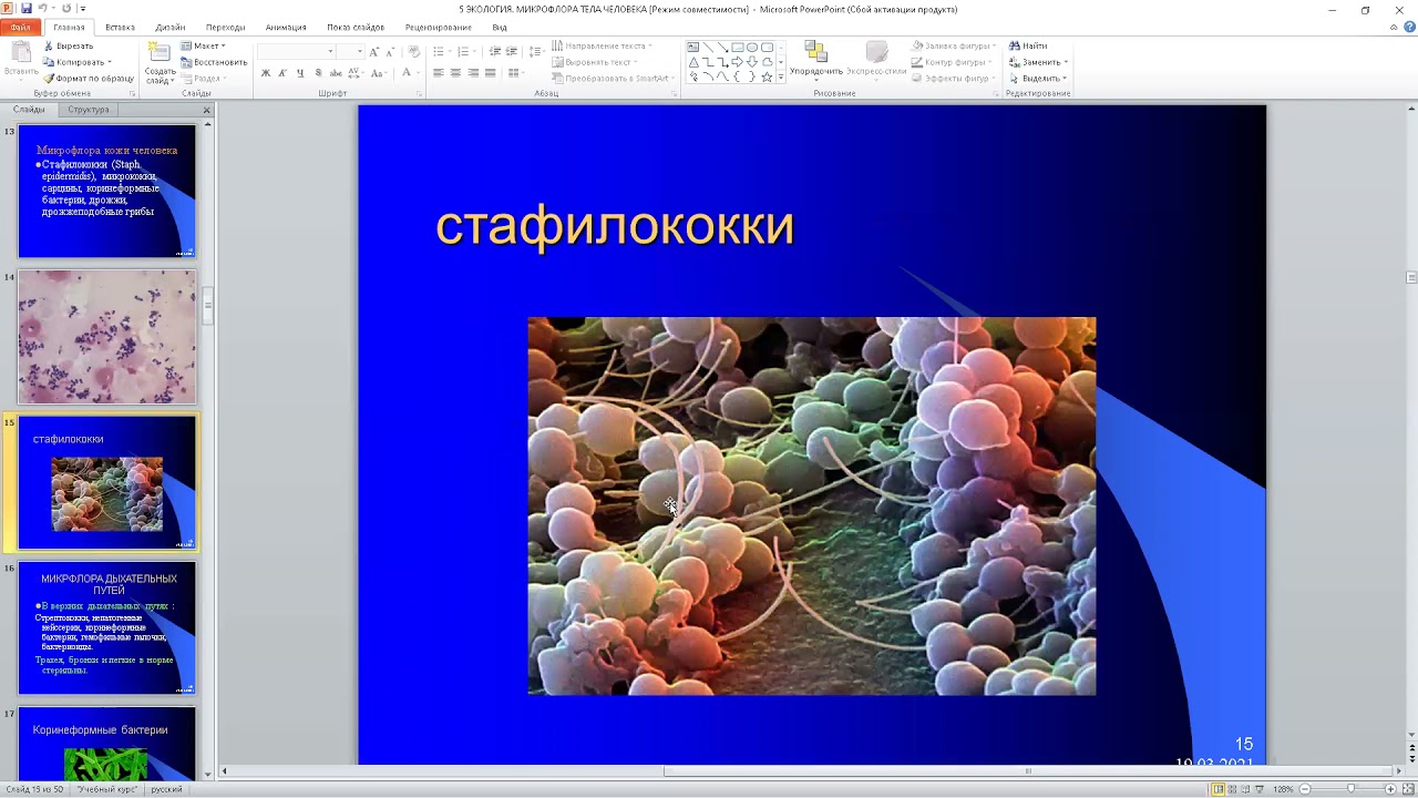 А. Н. Савинова. Нормальная микрофлора организма человека. Ее роль в норме и при патологии. Фарм.