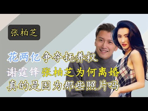 明星：张柏芝不再隐瞒，坦白离婚的真相，难怪谢霆锋花2亿都换不回儿子娱乐圈、娱乐八卦、明星发飙现场