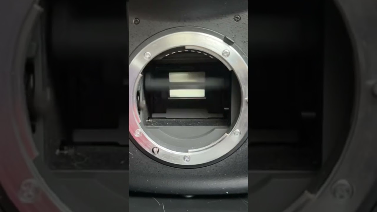 Nikon D700 Mirrorflip