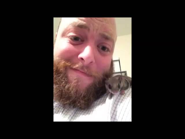 道で謎の生物の赤ちゃんを拾ったので育ててみた結果…！！【動物 おもしろ】