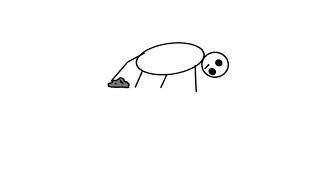 The trip and definitely not a stick bug meme