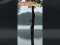 안동 월영교 월영야행, 산과 강을 감싸는 황홀한 물안개🌓🌏⭐️