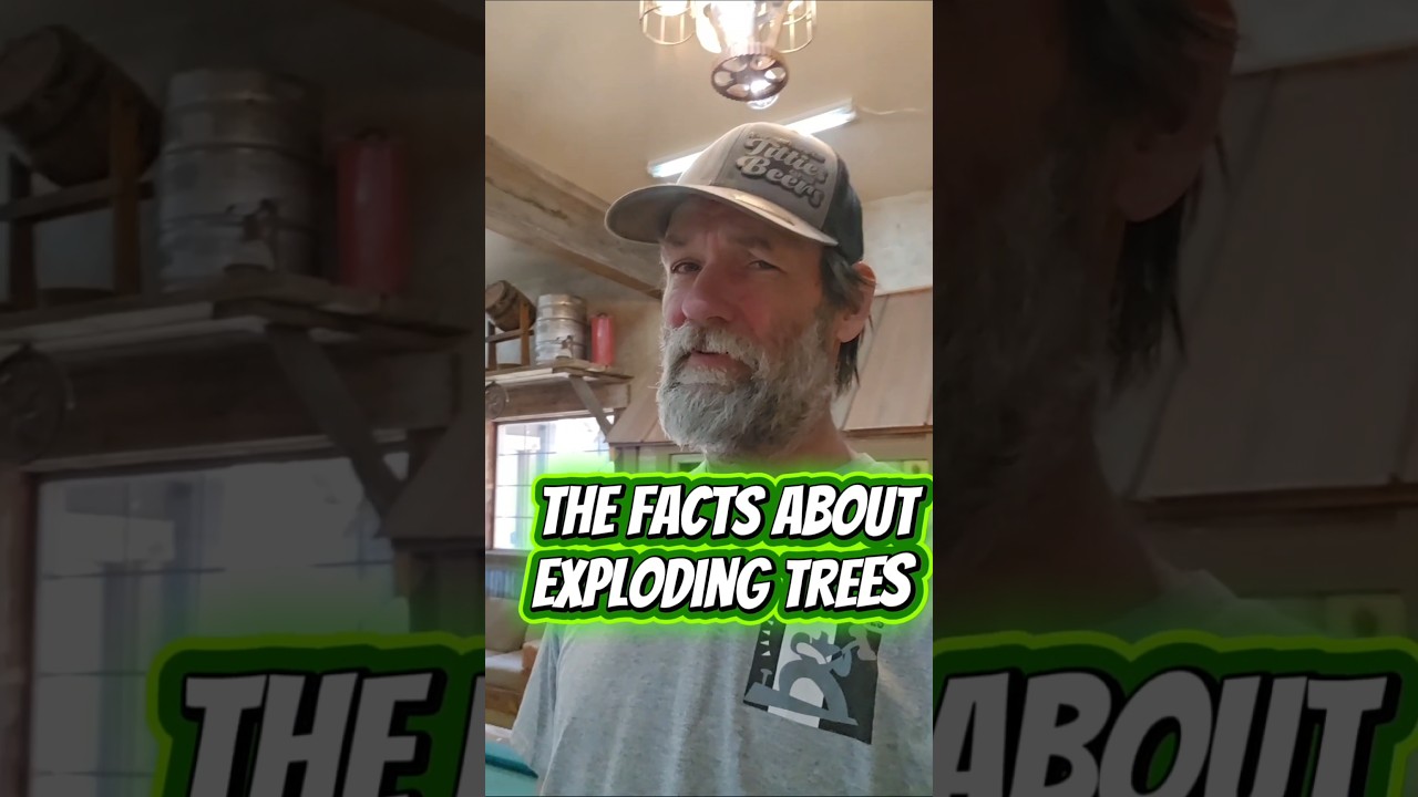 Деревья на самом деле не взрываются, они трескаются. 