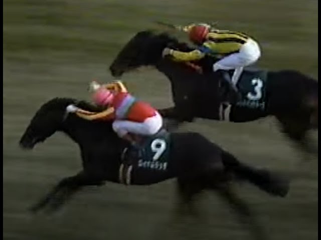 1998年 ラジオたんぱ杯3歳ステークス（GⅢ） | アドマイヤベガ | JRA