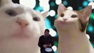 Pop Cat Meme Compilation ¦ PopCat Best Dank Memes 1 2