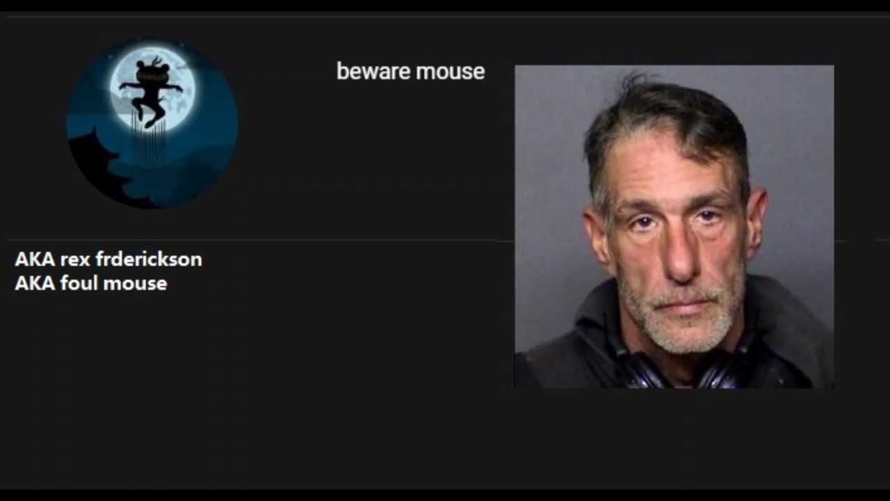 A I P N American Independent Press Network