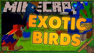 Exotic Birds Mod 1.16.5/1.15.2/1.12.2 - Minecraft Mods for PC screenshot 3