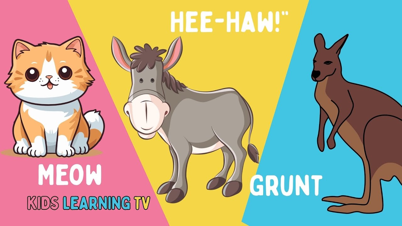 20 Animals Name And Sounds | Animal Sounds for Kids | Learn Animals with Fun