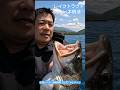 巨大レイクトラウト！ぜんぶ捕る！in 本栖湖！LakeTrout, Salvelinus namaycush≫生物ハンター加藤英明【 公式】かとチャン
