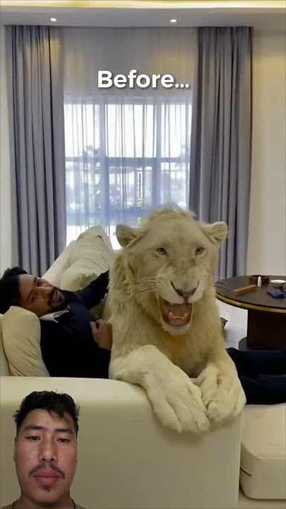 #funny #nico #animals #shorts #subscribe #ppm