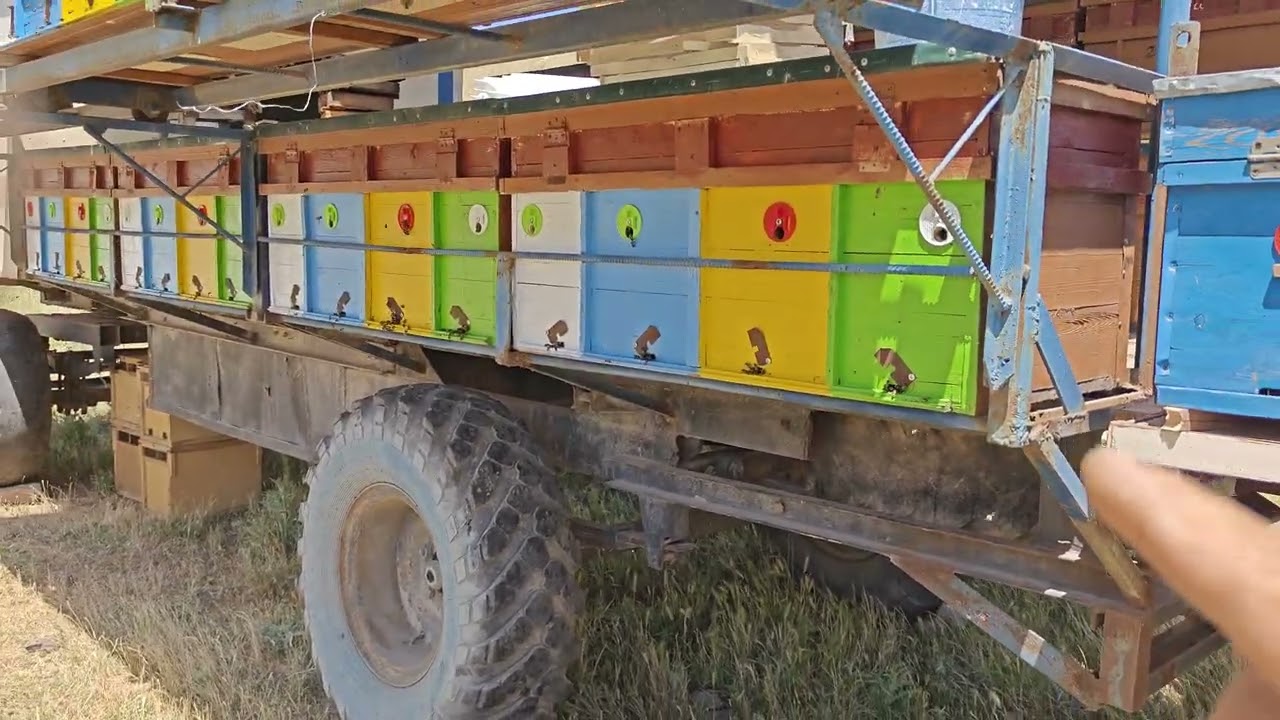 18 мая 2025 г.