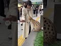 ショート動画やりたい企業様ソートライにご相談ください　福岡ショート動画制作　縦型ショート動画　福岡県中小企業振興センター　福岡商工会議所　会員　ふくおか経済　掲載企業