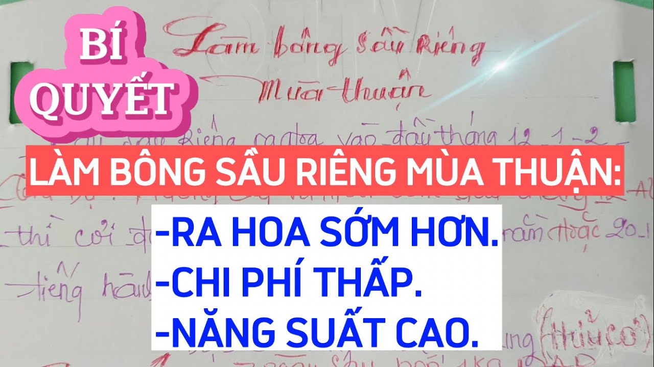 BÍ QUYẾT LÀM BÔNG SẦU RIÊNG MÙA THUẬN: RA HOA SỚM HƠN, CHI PHÍ THẤP, NĂNG SUẤT CAO | HƯƠNG SẦU RIÊNG