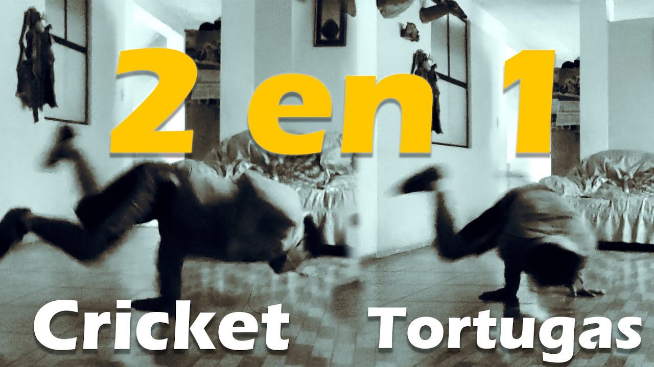 Tutorial Cricket y Tortugas SUPER explicado a DETALLE | Bboy Keytom