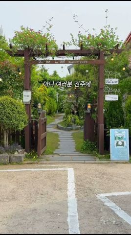 데이어스포레스트 영상
